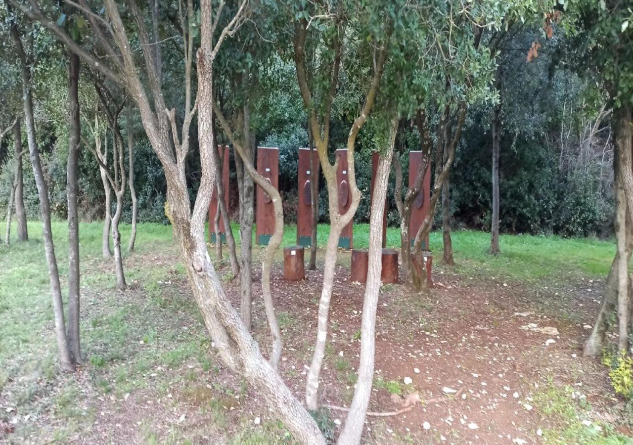 Apartmani Natasa Vrsar Exterior foto
